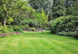 Optimiser l'expérience du jardin à Villers-sur-Authie